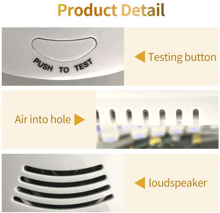 Carbon Monoxide CO and Gas Alarm Detector With Screen Voice